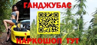 стаф Новодвинск