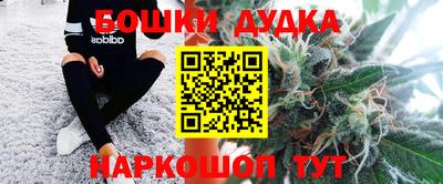 крисы Нальчик