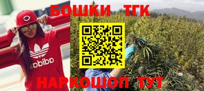 крисы Нальчик