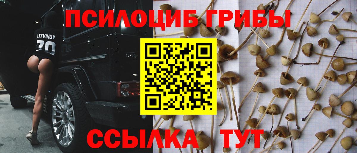 Тобольск  Галлюциногенные грибы Magic Shrooms  Вход с VPN  Псилоцибиновые грибы Psilocybe 