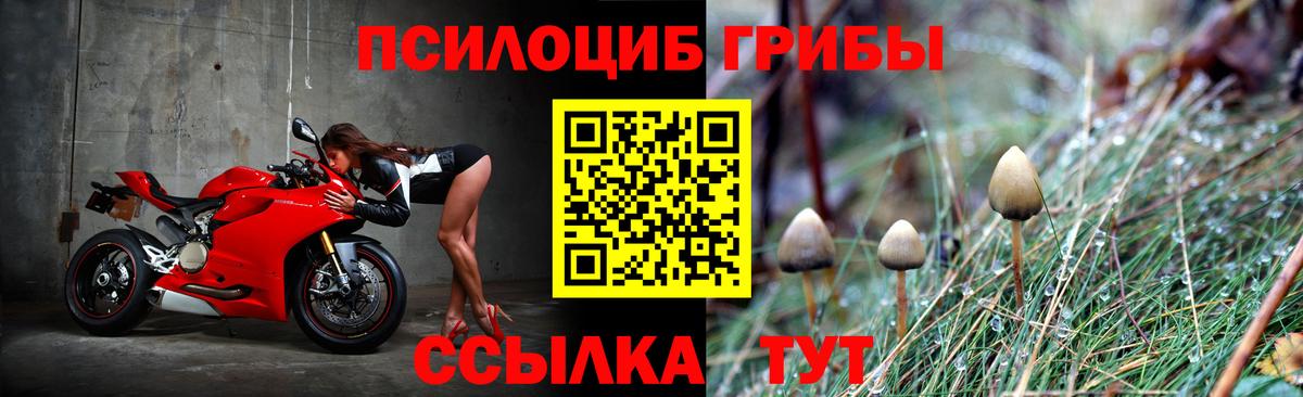 Галлюциногенные грибы Magic Shrooms Тобольск